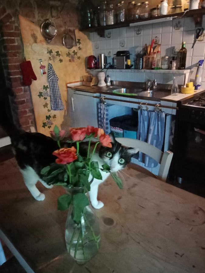 Morelli House Guest House Montalbo Екстериор снимка