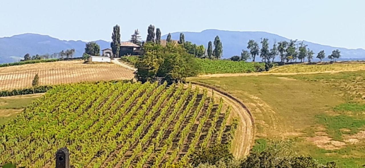 Morelli House Guest House Montalbo Екстериор снимка